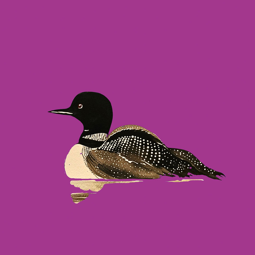 Thumbnail: Women’s Relaxed Fit ‘The Loons are Calling’ T-shirt