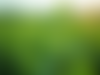 Mastering Soybean Growth: A Stage-by-Stage Guide