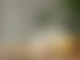 Eco-Friendly Cleaning Tips for a Healthier Home