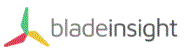Baldeinsight Logo.GIF