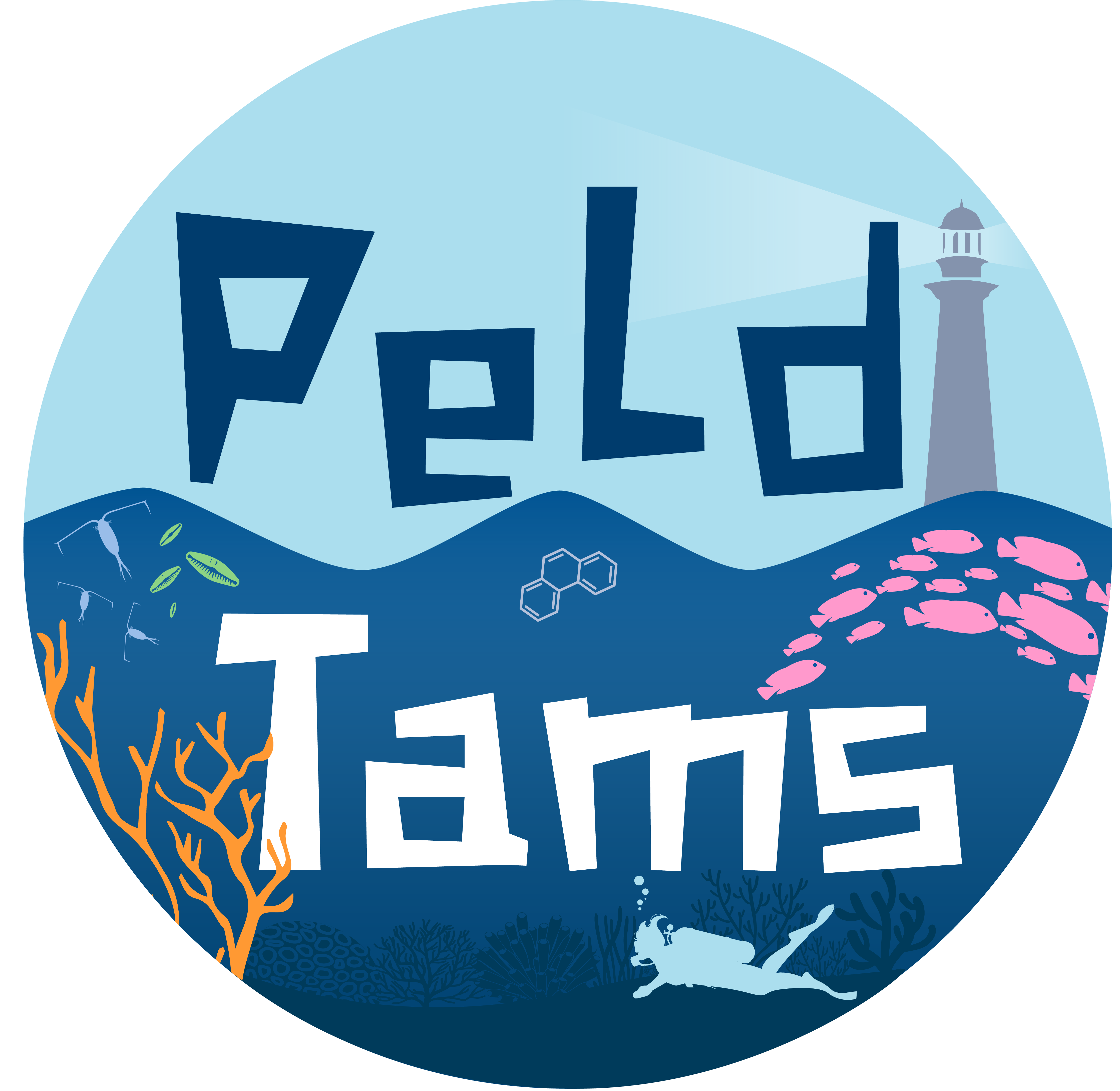 Foto do escritor: TAMS