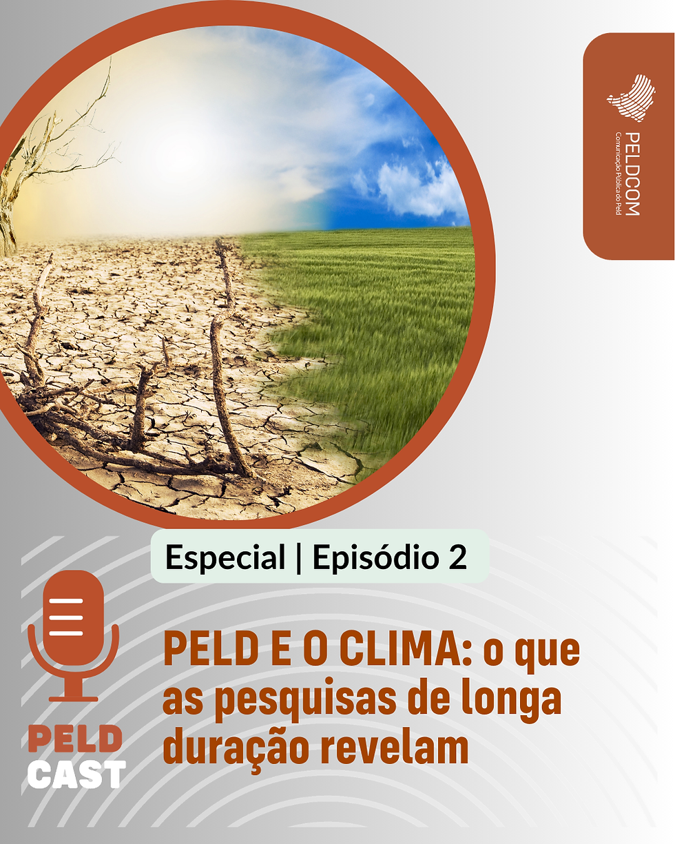 Peld e o clima - Episódio II