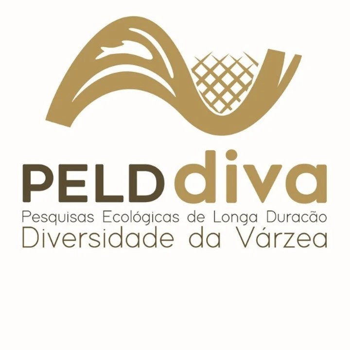 Foto do escritor: DIVA