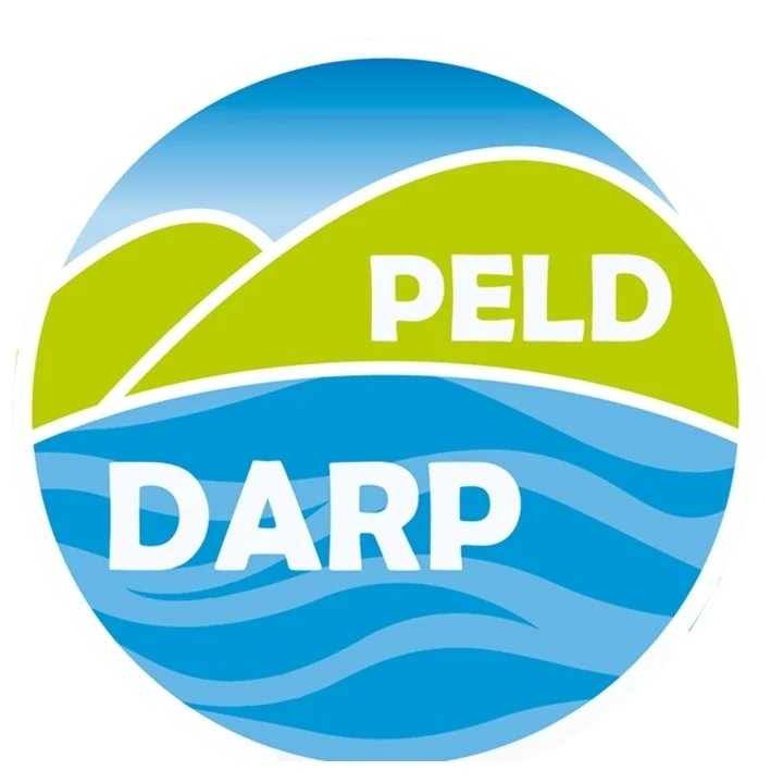 Foto do escritor: DARP