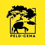 Foto do escritor: CEMA