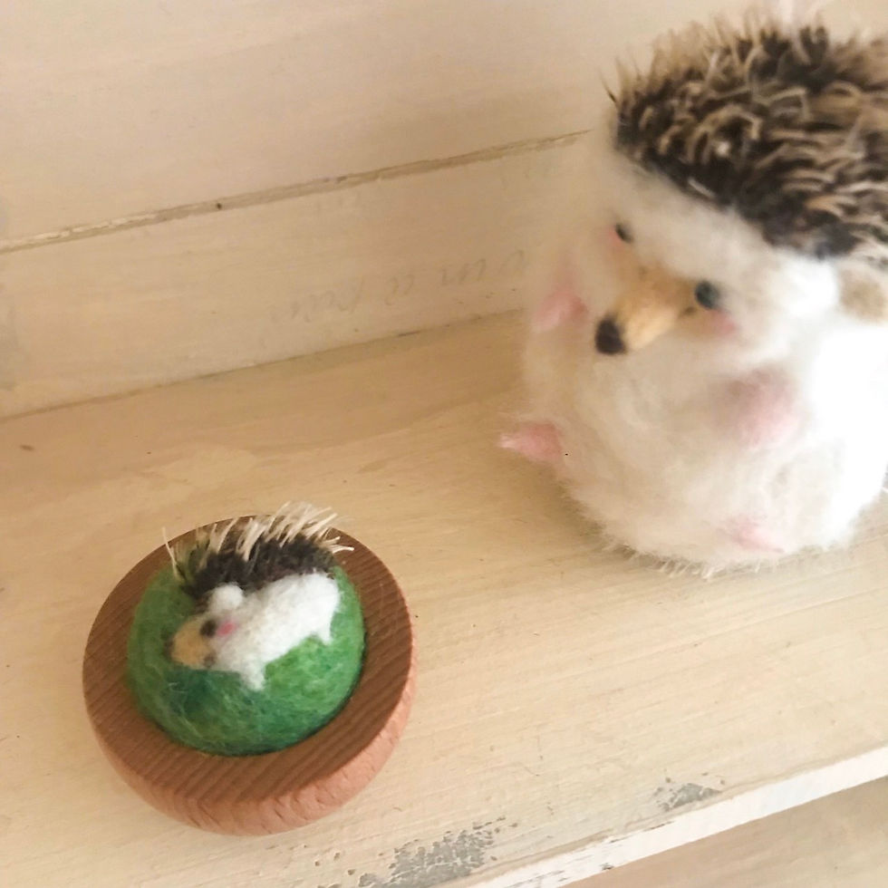 ピンクッション 1500円~