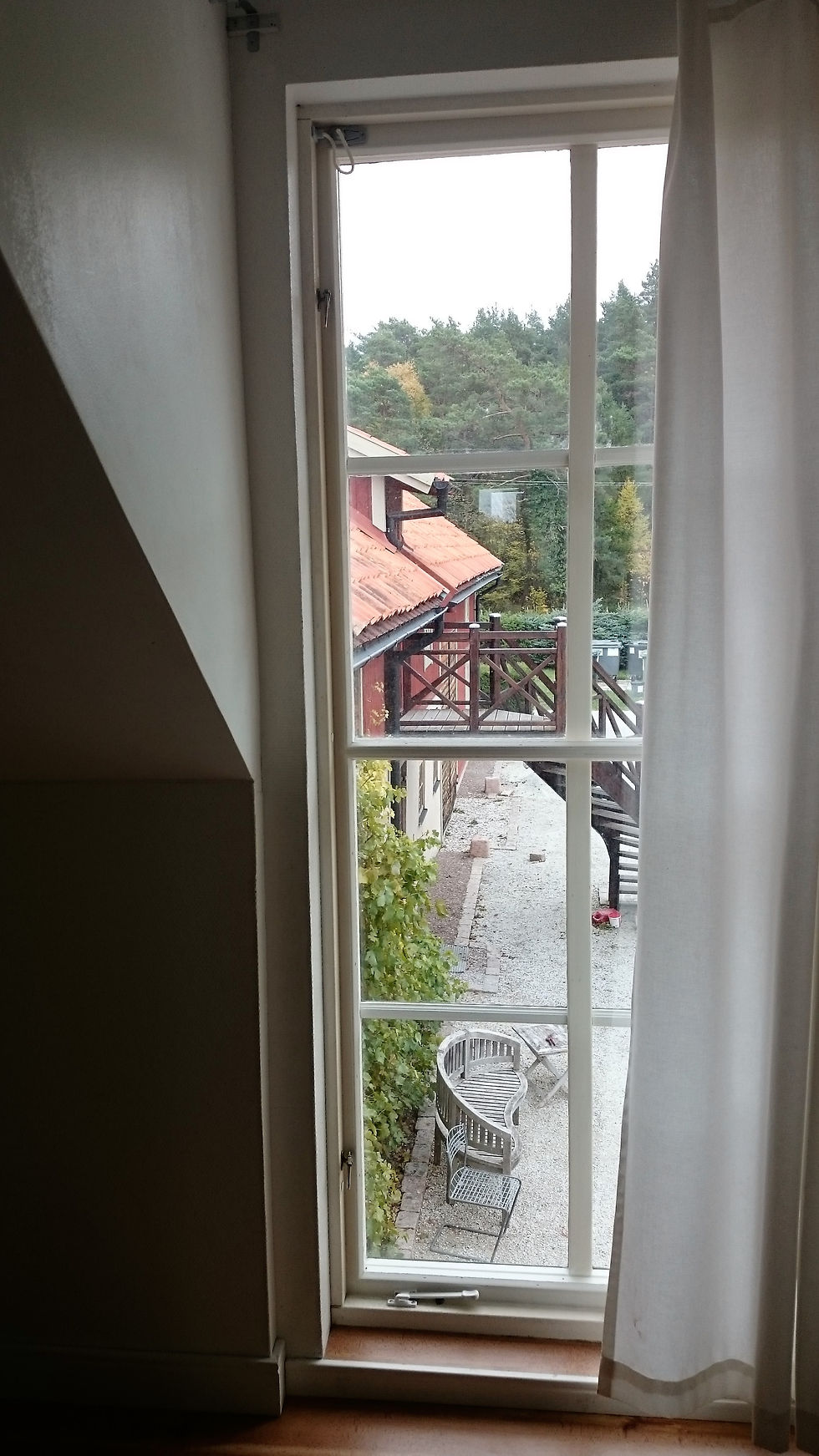 Window