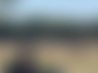 Travelling Irrigator