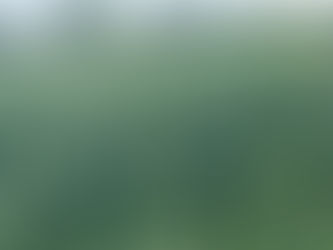 OK, so it has rained and rained and rained