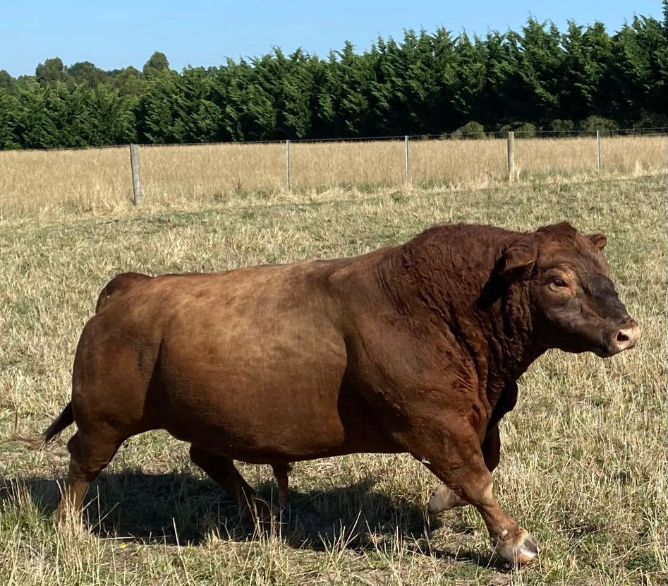 ree