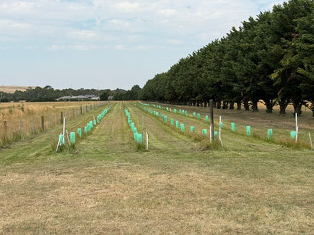 So far so good .....