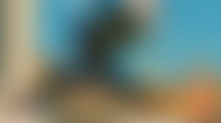 Cristão versus Distração