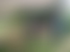 Celebrating a Special Weekend in the Hills, including Roots of Solidarity -Eco-Arts Festival& Palestinian Support Event. 