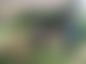 Celebrating a Special Weekend in the Hills, including Roots of Solidarity -Eco-Arts Festival& Palestinian Support Event.