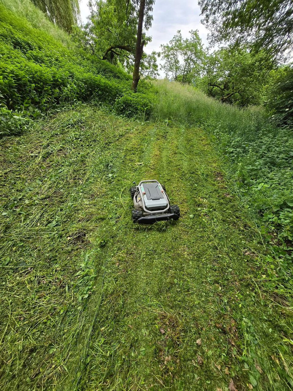 Miniaturbild: Mowrator S1 4WD