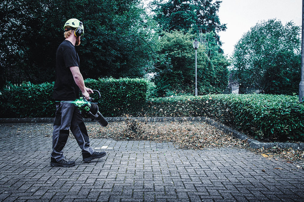 Miniaturbild: EGO Luftbläser