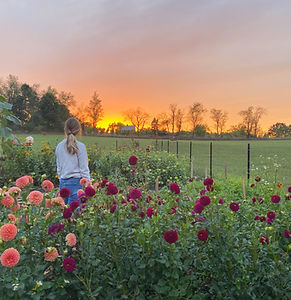 Manchester Flower Farm
