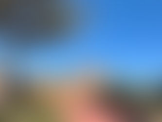 Disney Holiday Package with Flights UK: Are They Worth It?