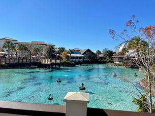 Disney World in the Summer Holidays: The Honest Pros and Cons for UK Families