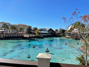Disney World in the Summer Holidays: The Honest Pros and Cons for UK Families
