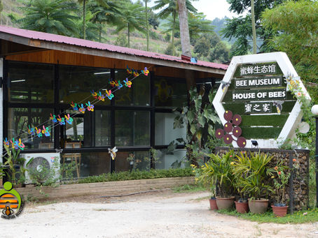 Bee Museum In Bentong.