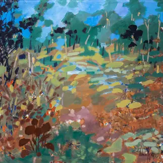 Study for Flying Rivers 1