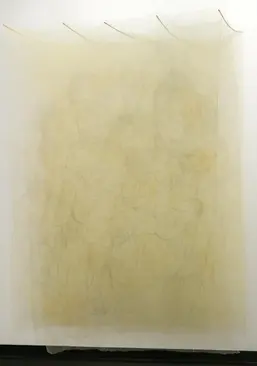 Olhar através, ver além