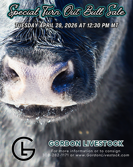 Gordon Livestock Sale Flyers  (13).png