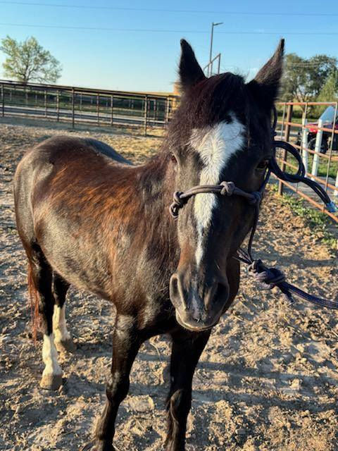 540505982_1525030739022951_6244320474848659869_n