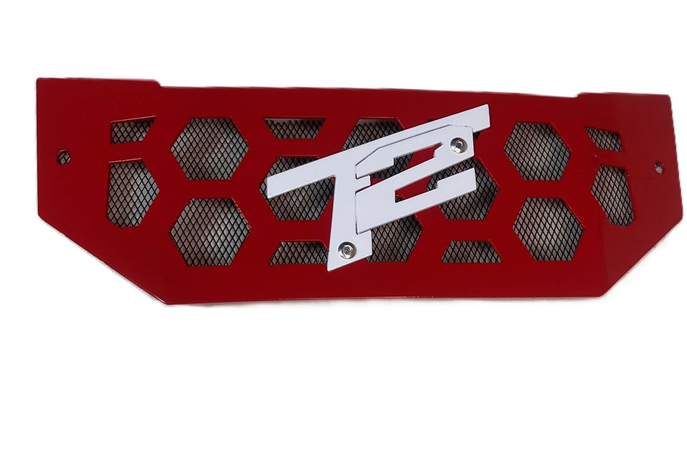 Thumbnail: Foreman Front Grille