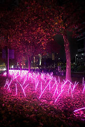 Spring-Vibes-glow-2024-05-1-1024x1536.jpg