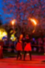 Lumineus Licht- en vuurbeleving Acrobatie en vertelkunst Live muziek, food & drinks