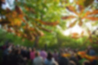 Verhalen in het Park.jpg