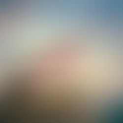 "Η ιστορία του στρειδιού" - Δόμνα Βεντουράτου