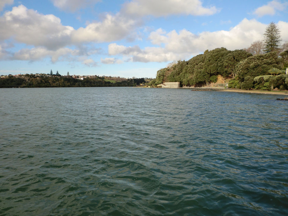 Week 19- Armstrong but not Legstrong