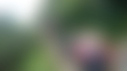 Week 43- Release the Piripaua!