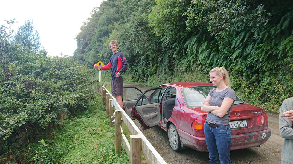 Week 43- Release the Piripaua!