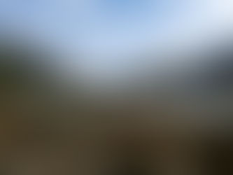 Week 31- part 1 Israelis and the West Coast