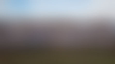 Ultimate Frisbee University Nationals