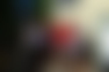 Week 51- Napa with Quinn and Friends