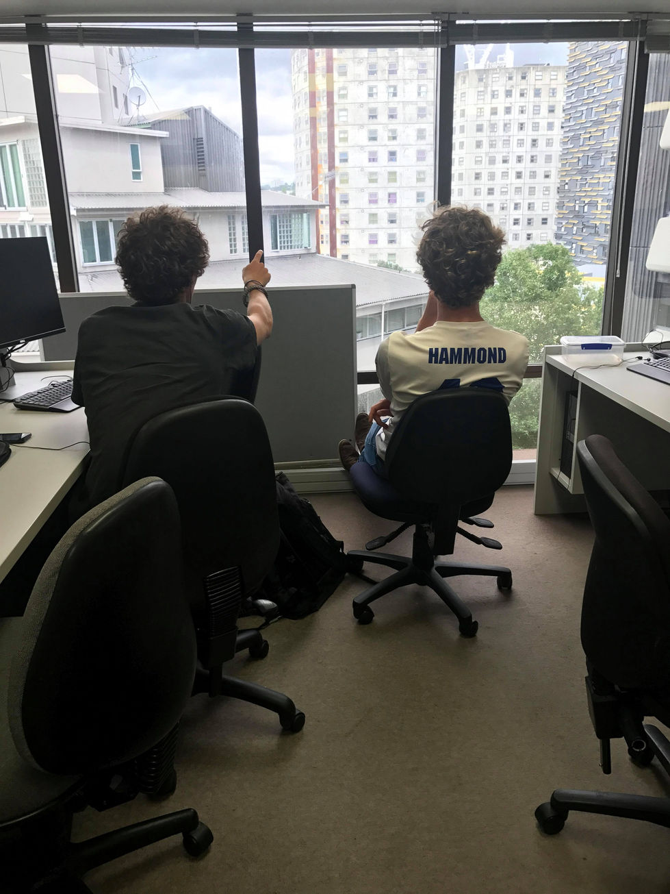 Week 48- How many Leos does it take to change a lightbulb?