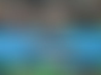 Week 29- Brisbane and Gold Coast