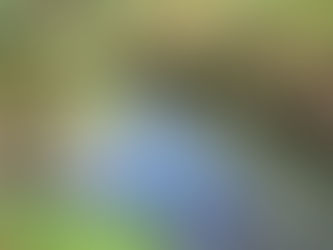 Week 4- Does a can of beer in the fridge cool faster in the prone position?