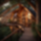 higherlove_upscale_treehouse_resort_--v_7_--draft_4863961f-2618-4dd9-955d-34b02f1b10af_1.p