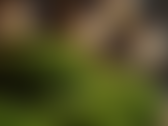 Revolutionizing Design with MOSS lighting design