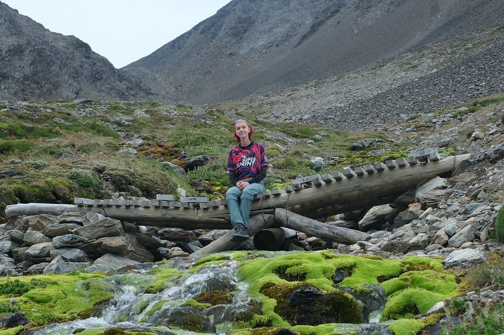 Hike to glacier Martial
