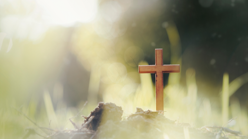 名称未設定のデザイン (39).png