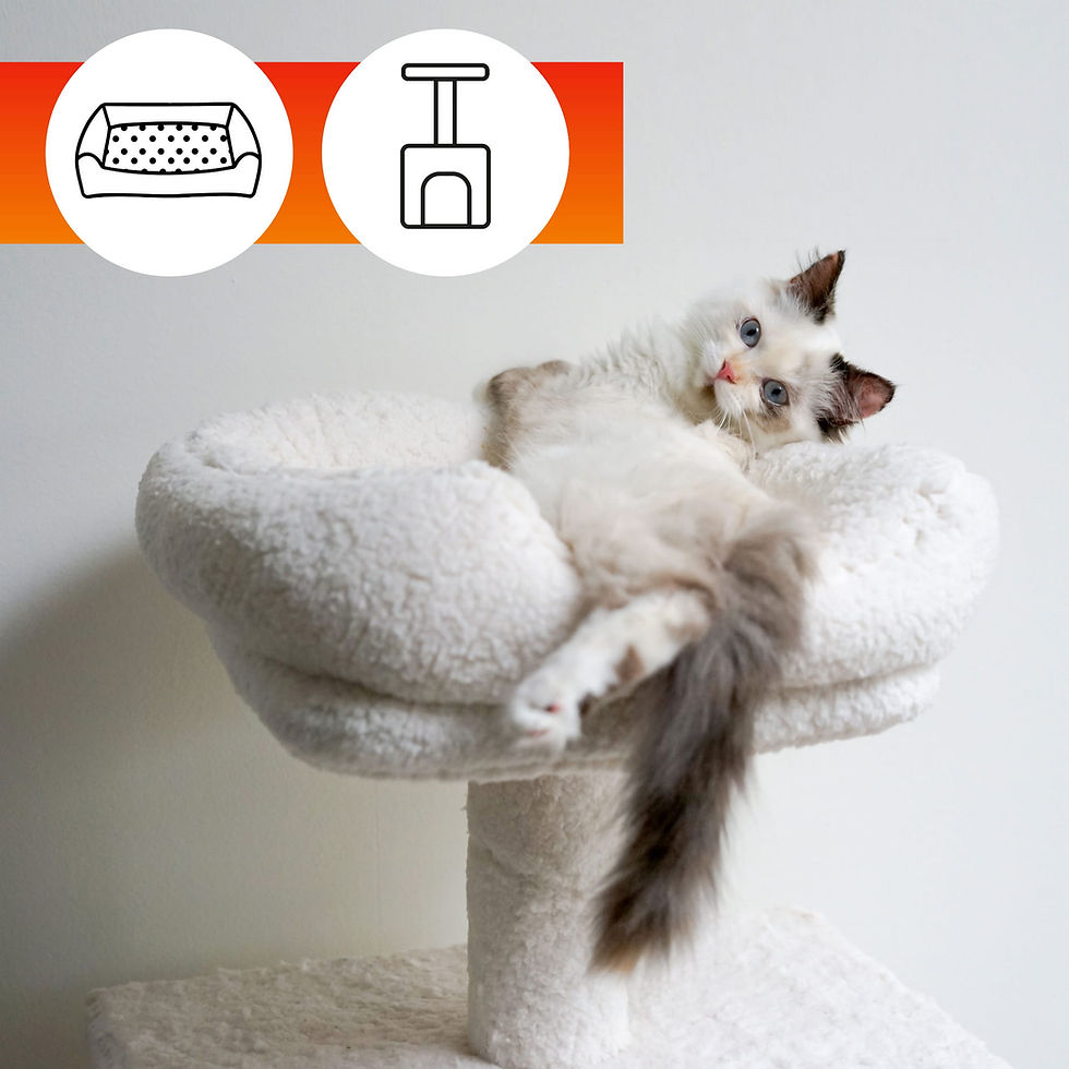 Thumbnail: OA PETS ODOUR REMOVAL SOFA FABRIC CLEANER