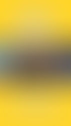 解鎖 1000 種聲樂技巧:僅用一首歌曲即可掌握所有技巧!Unlock 1000 Vocal Skills: Master Them All with Just One Song!