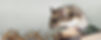 GettyImages-897689120_edited.jpg